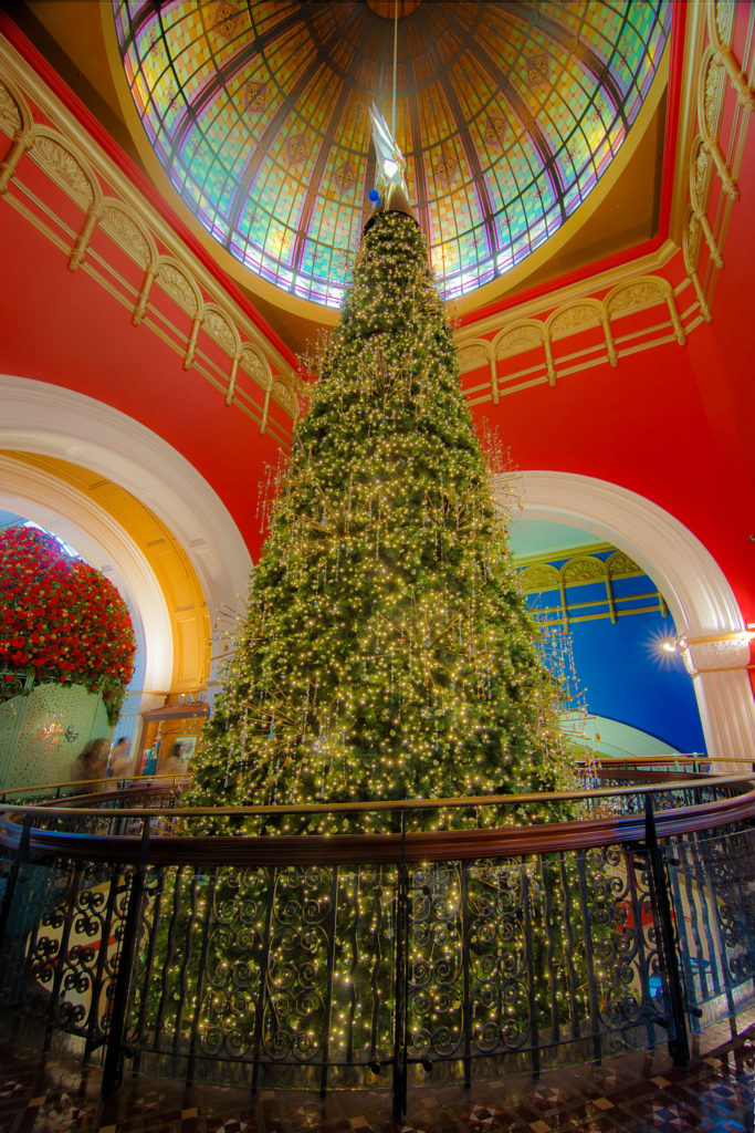 I just want to wish everyone merry christmas and a happy New Year. This is one of the most impressive christmas trees I have ever seen. It was in Queen Victoria Building in Sydney and this is only the top. It goes over 3 different levels. You can see it from this view here